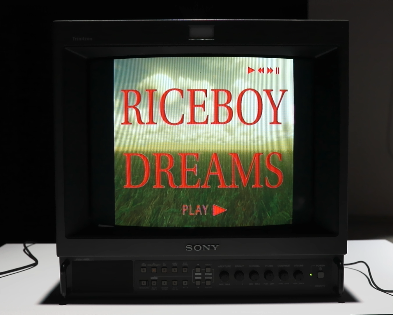 RiceBoy Dreams