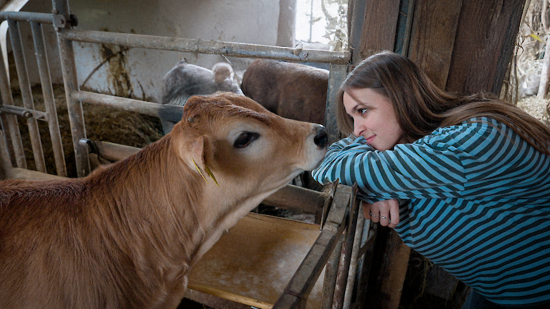 BOVINE, Nathalie Sulser © ZHdK