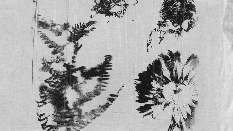 2026