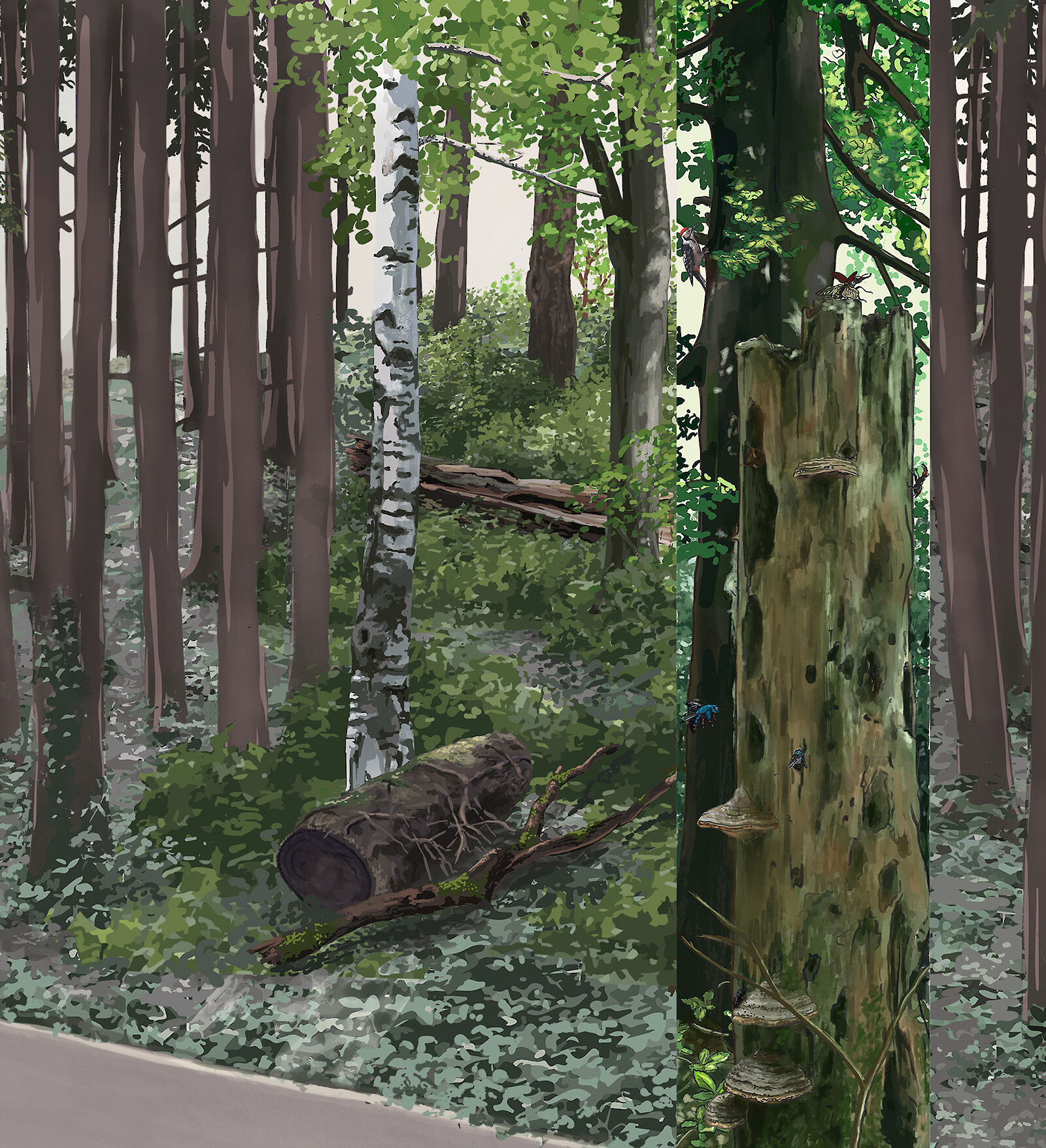 Vielfalt fördern, Lebensräume vernetzen