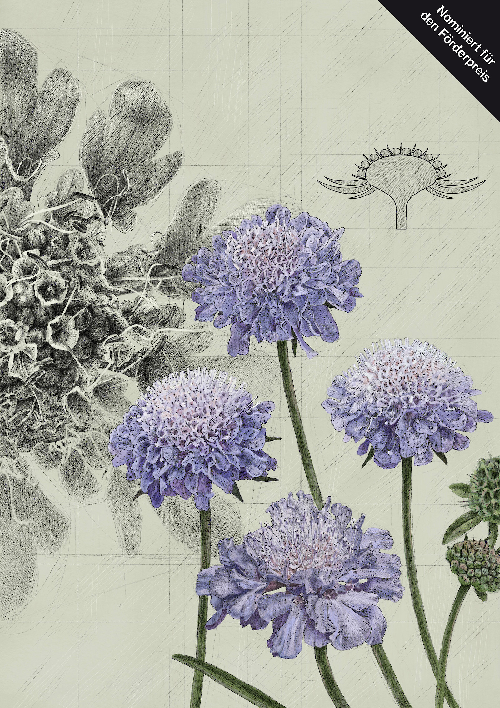 Unscheinbar, grossartig, selten