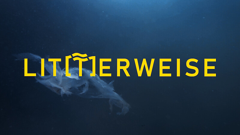 LIT(T)ERWEISE