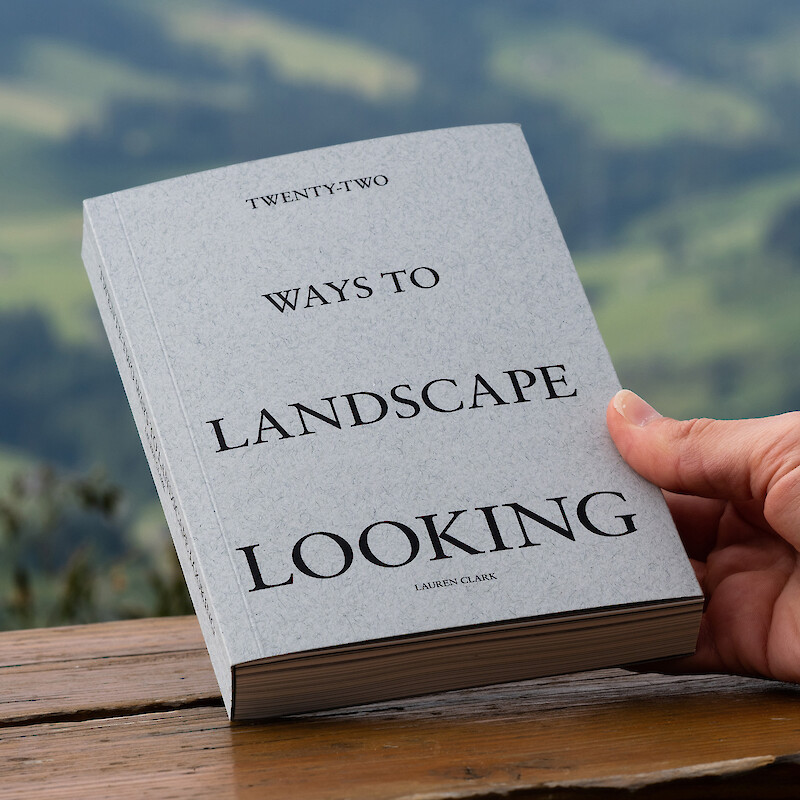 Landscape Looking
