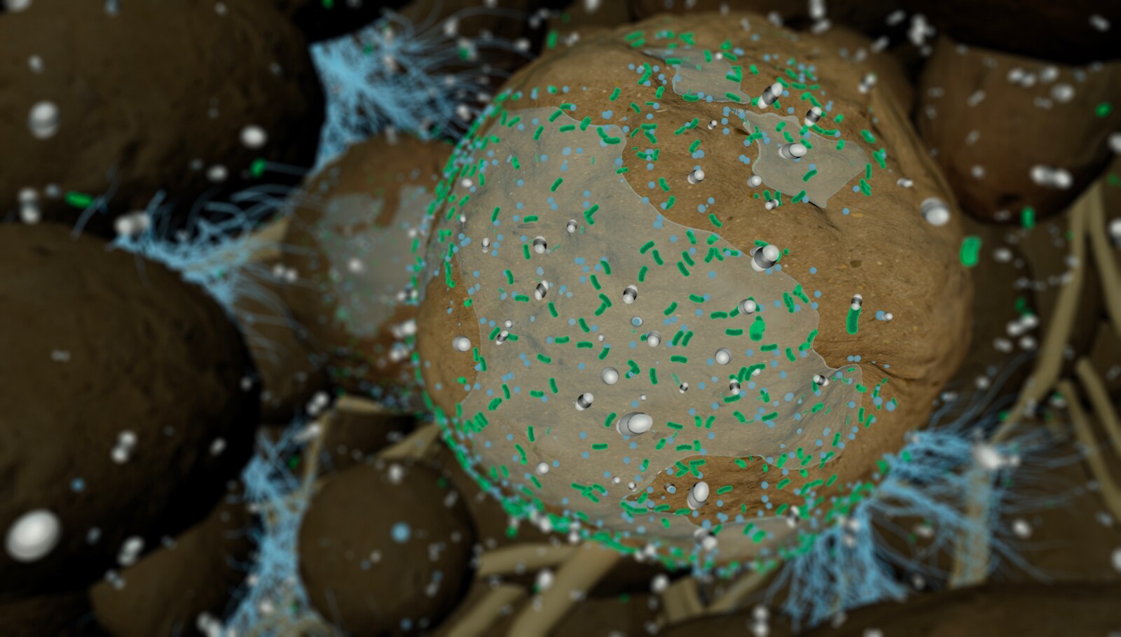 Soil: Our Ally Against Climate Change