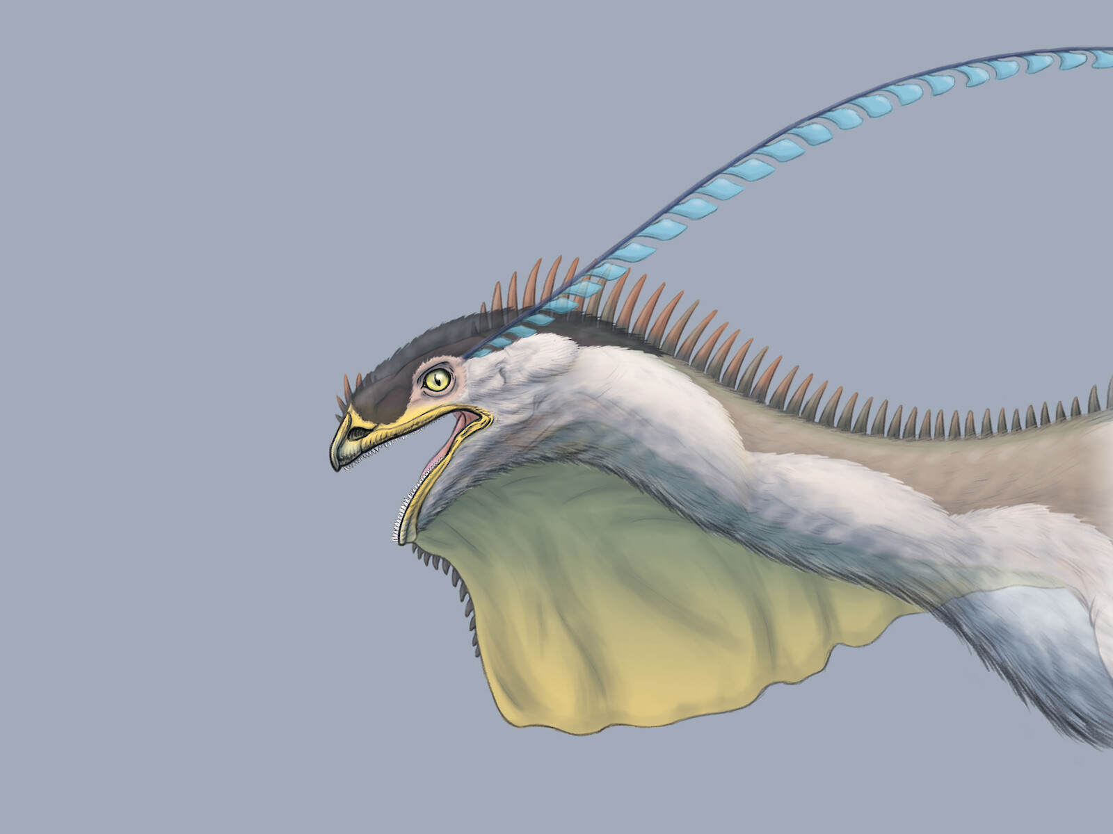 Iridescent feathers, gnarled scales