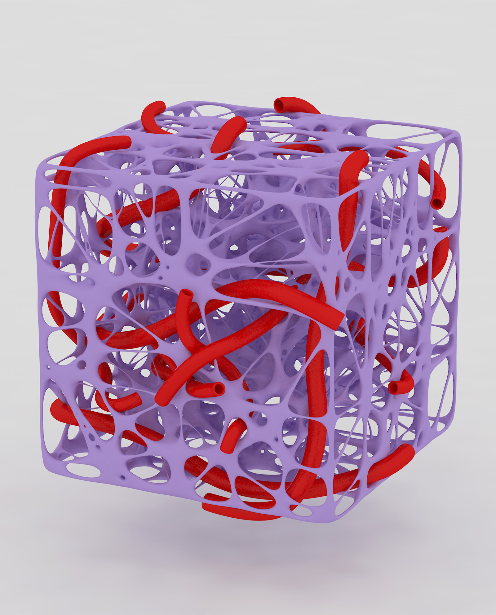 Navigating into the Body