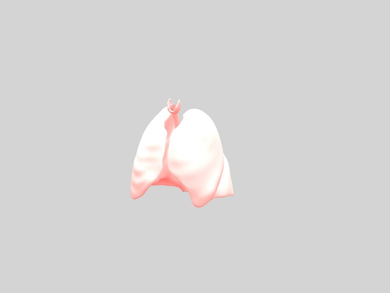 The educational game «Homines» enables a journey of discovery through the body.