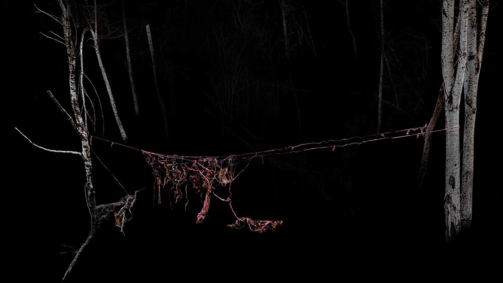 On Growth and Alteration – an introduction