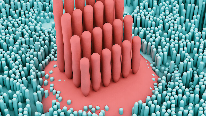 Visualisierungen für die Wissenschaft