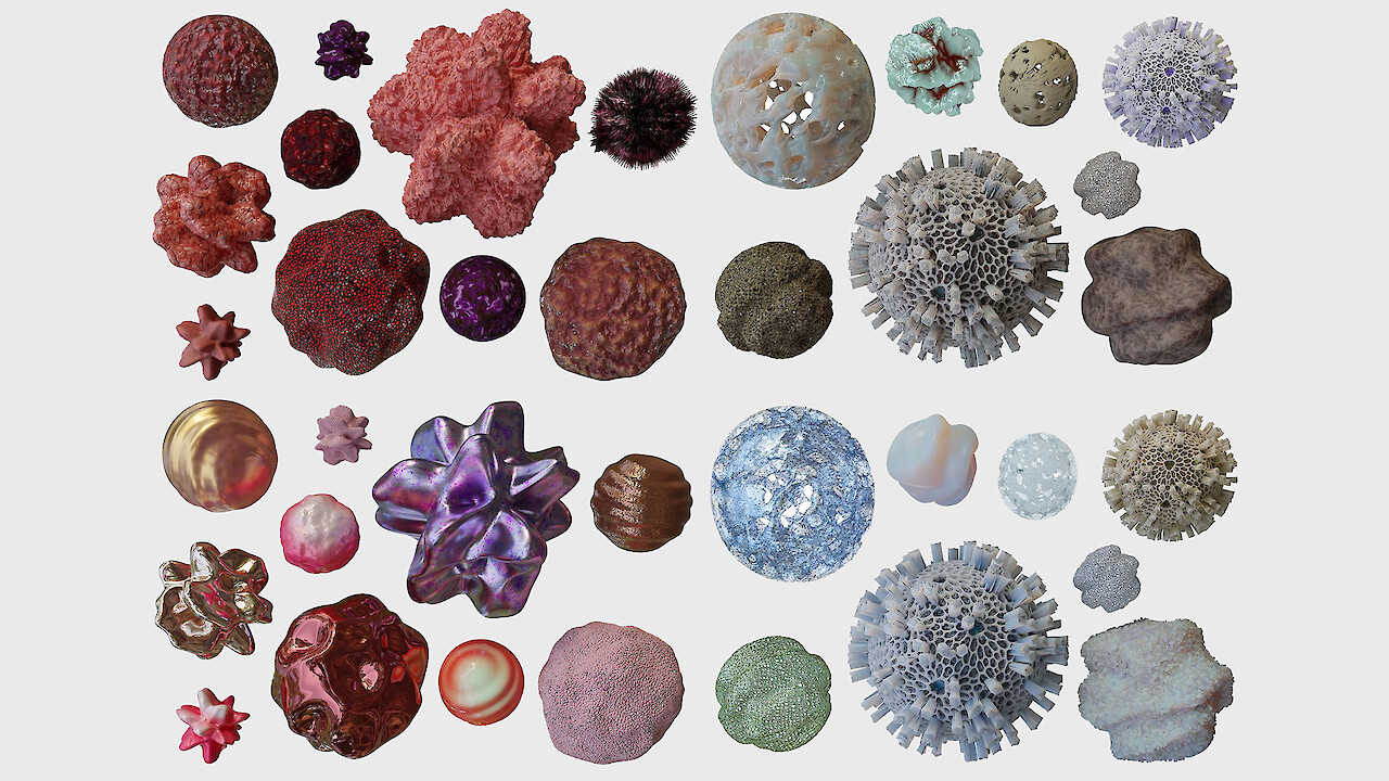 Online presentation MA Major Design