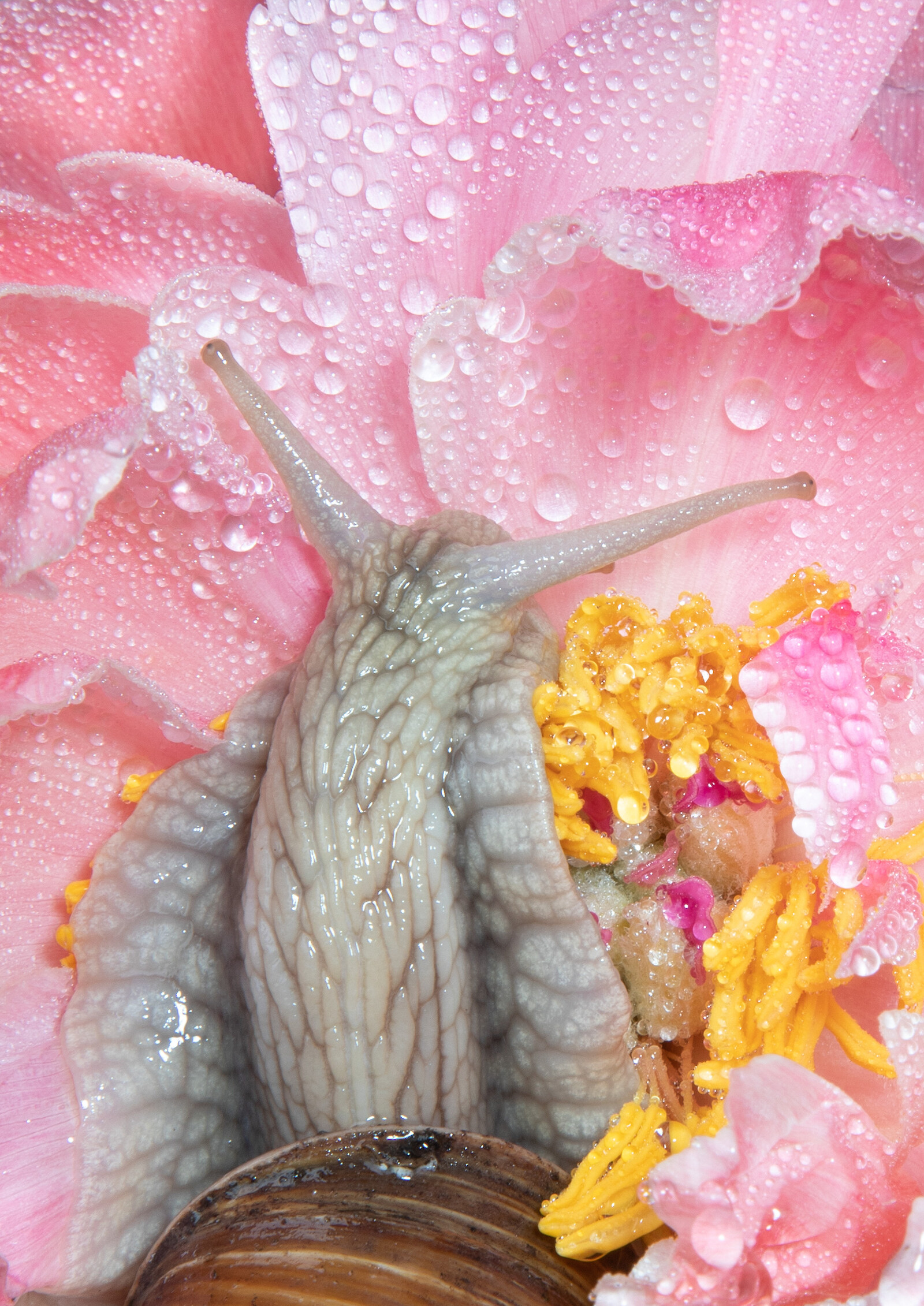 © ZHdK Trends & Identity