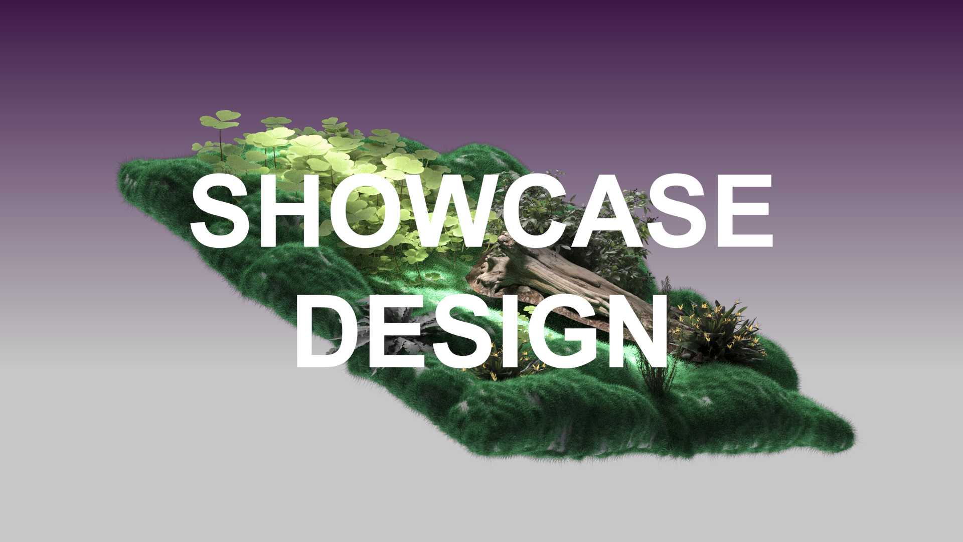 Showcase Design